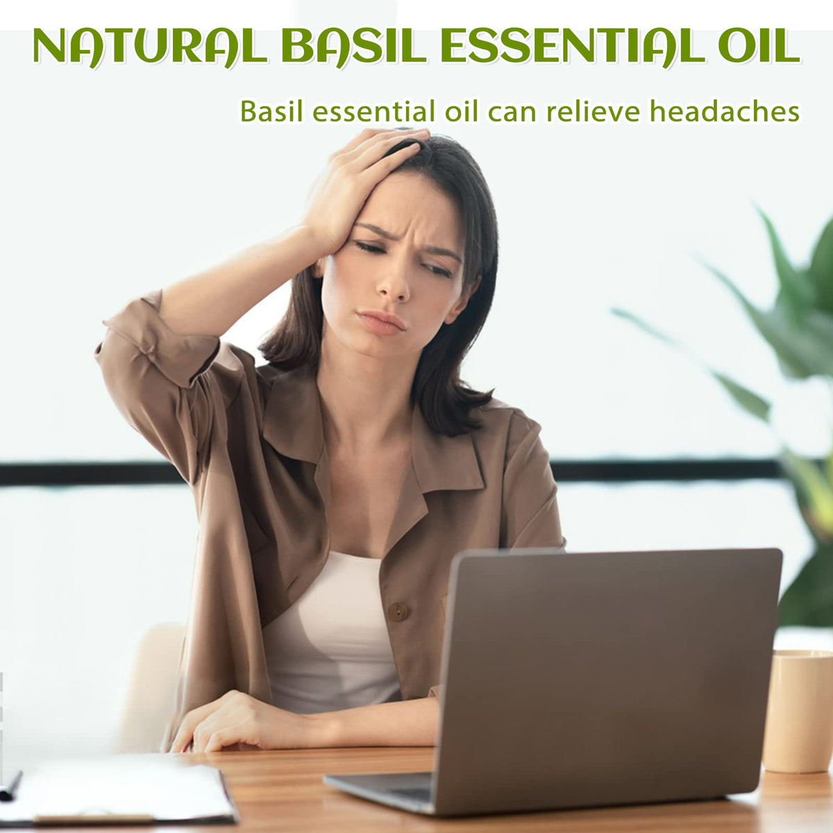 Basil and Lavender Essential Oil 4 Fl Oz R53649