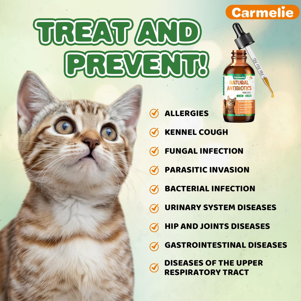 2 fl oz Natural Antibiotics for Cats S83426