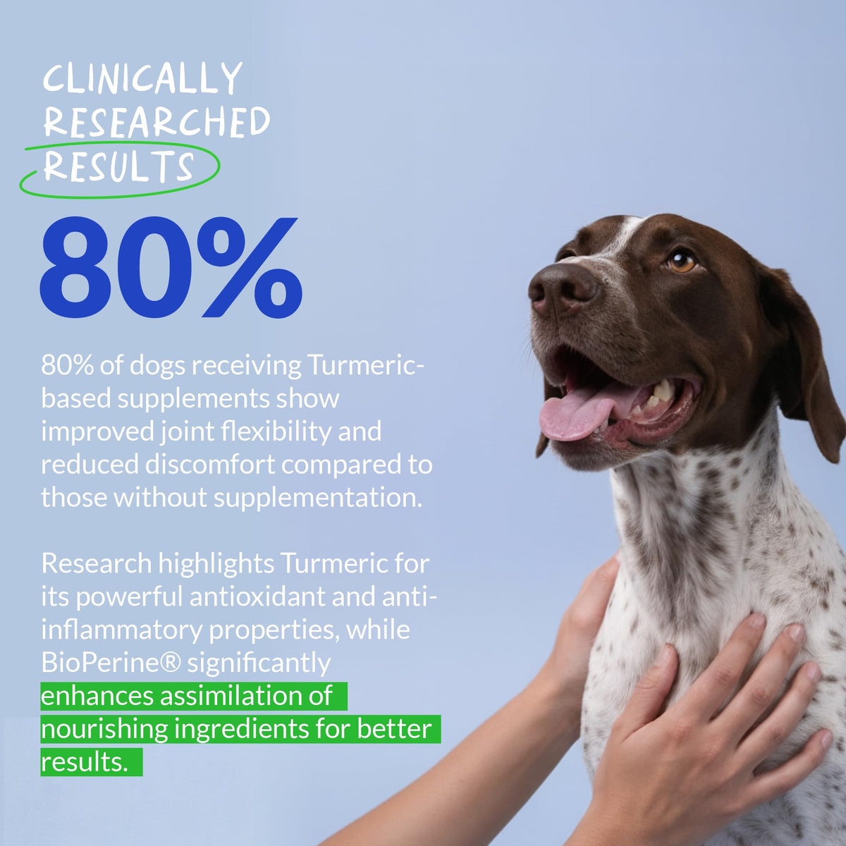 Turmeric for Dogs 120 ct D7507