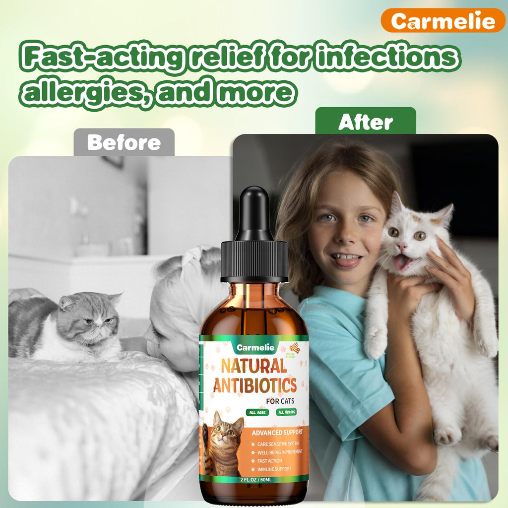 2 fl oz Natural Antibiotics for Cats S83426