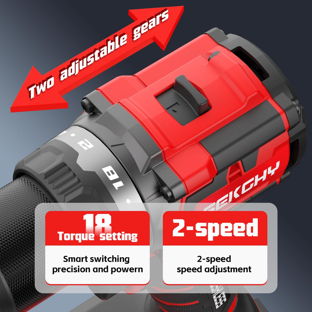 20V Cordless Drill Driver Kit with 2 Batteries F288754