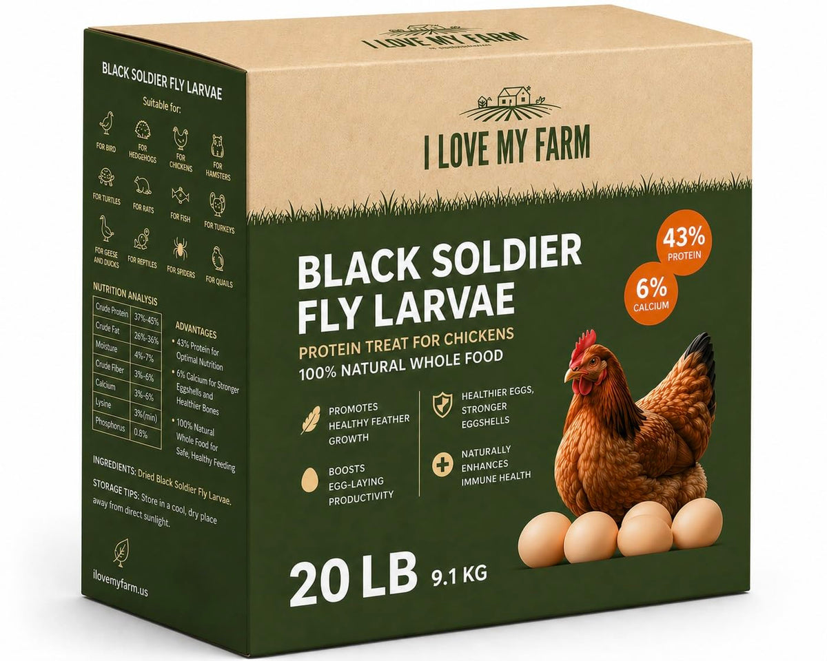 Dried Black Soldier Fly Larvae Chicken Treat R507101