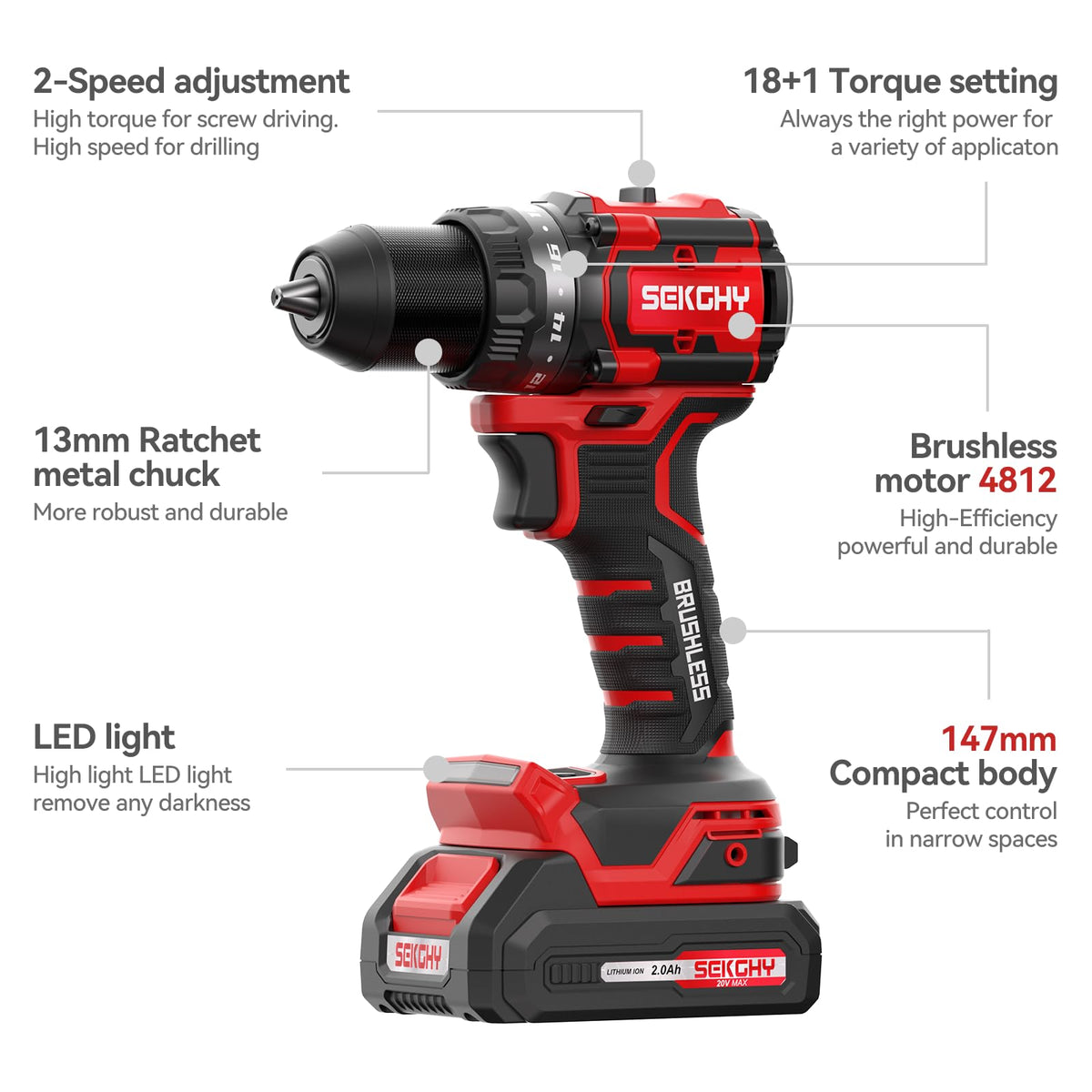 20V Cordless Drill Driver Kit with 2 Batteries F288754