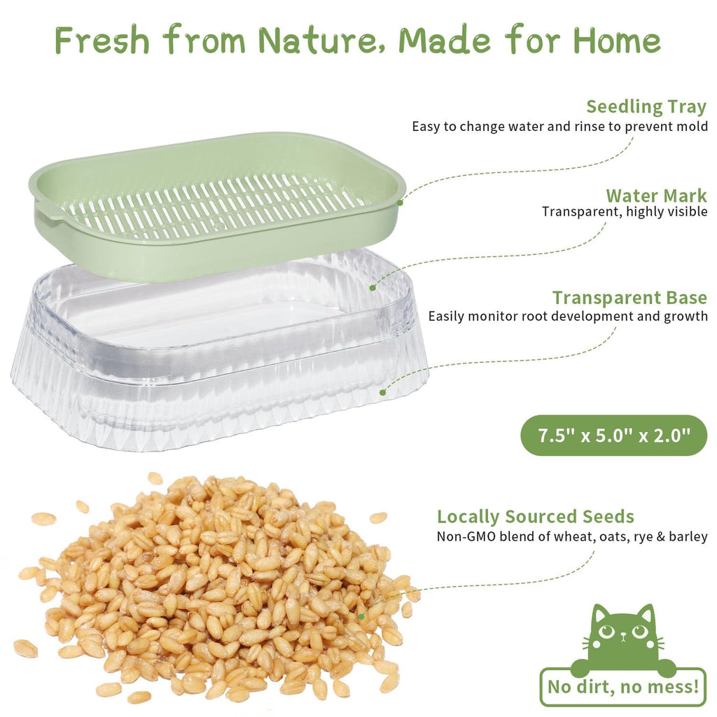 Hydroponic Cat Grass Grow Kit with 5Pack Non GMO Seeds N7495