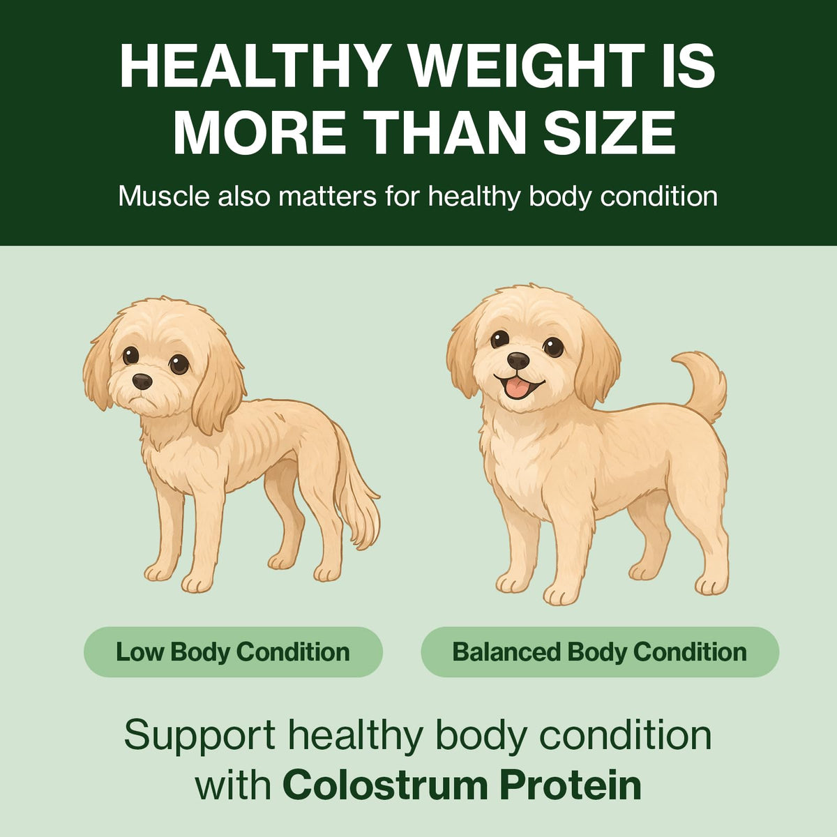 Colostrum Whey Protein Dog Supplement 30 Tubes I83701