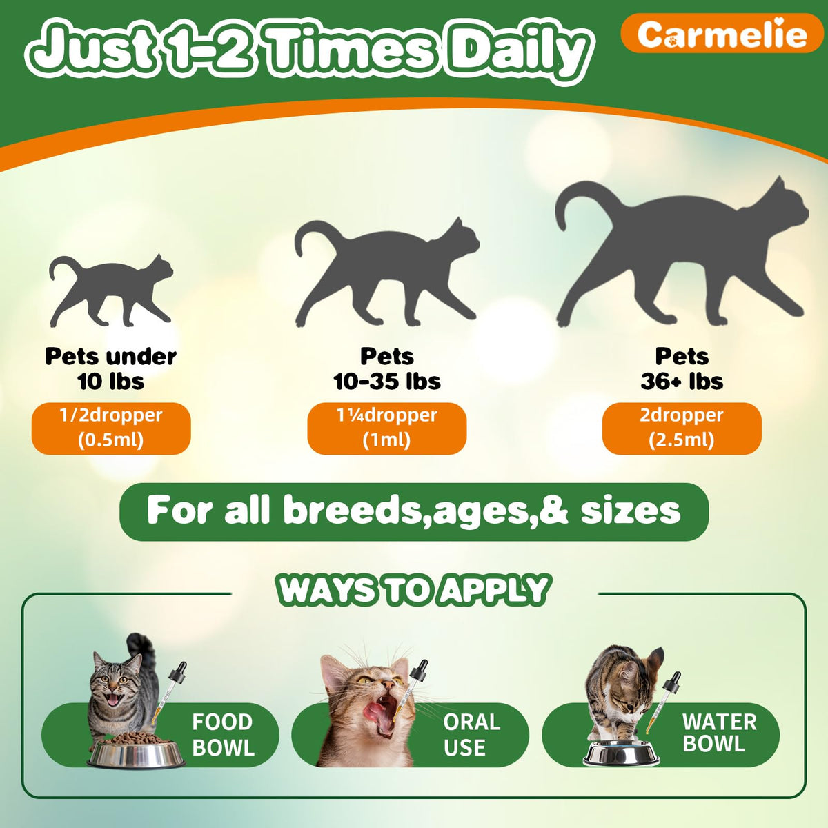 2 fl oz Natural Antibiotics for Cats S83426