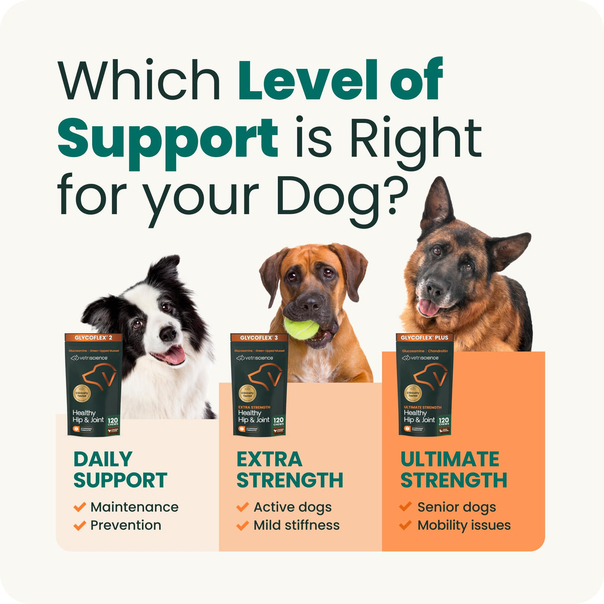 Healthy Hip & Joint for Dogs, Duck, 120ct W26659