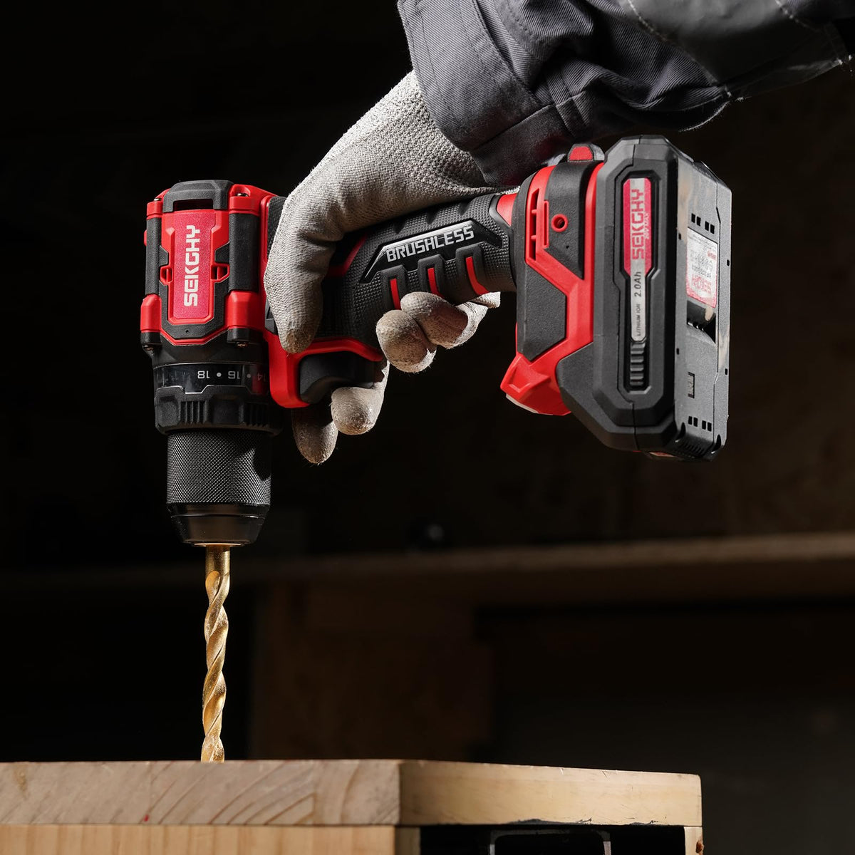 20V Cordless Drill Driver Kit with 2 Batteries F288754