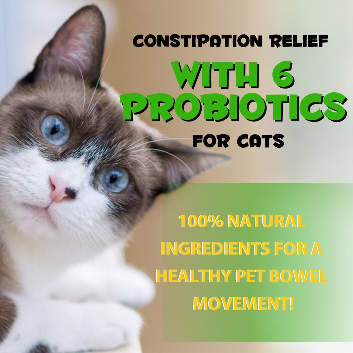 Cat Constipation Relief 2 fl.oz Q460