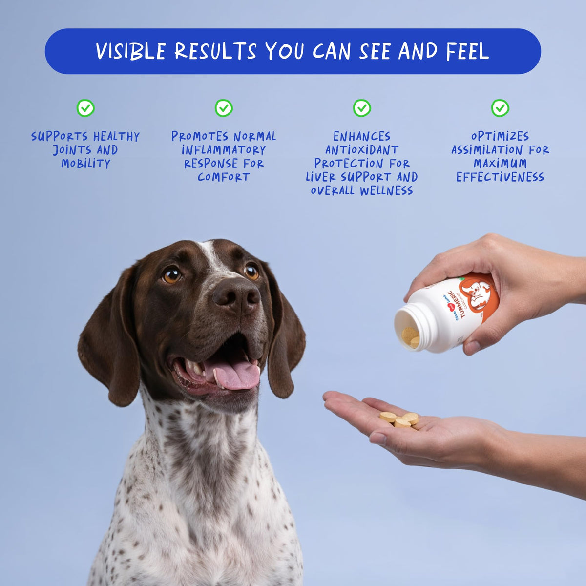 Turmeric for Dogs 120 ct D7507