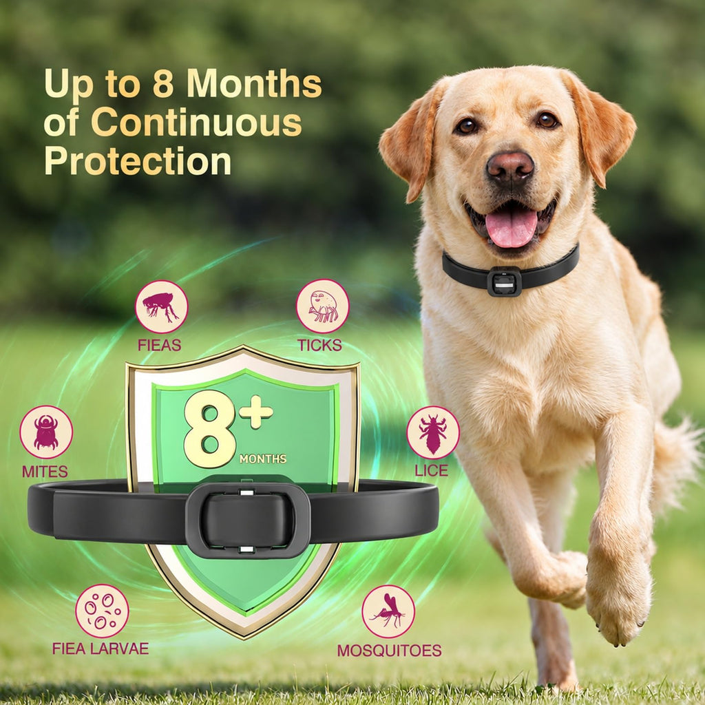 4 Pack Dog Flea Collar D218