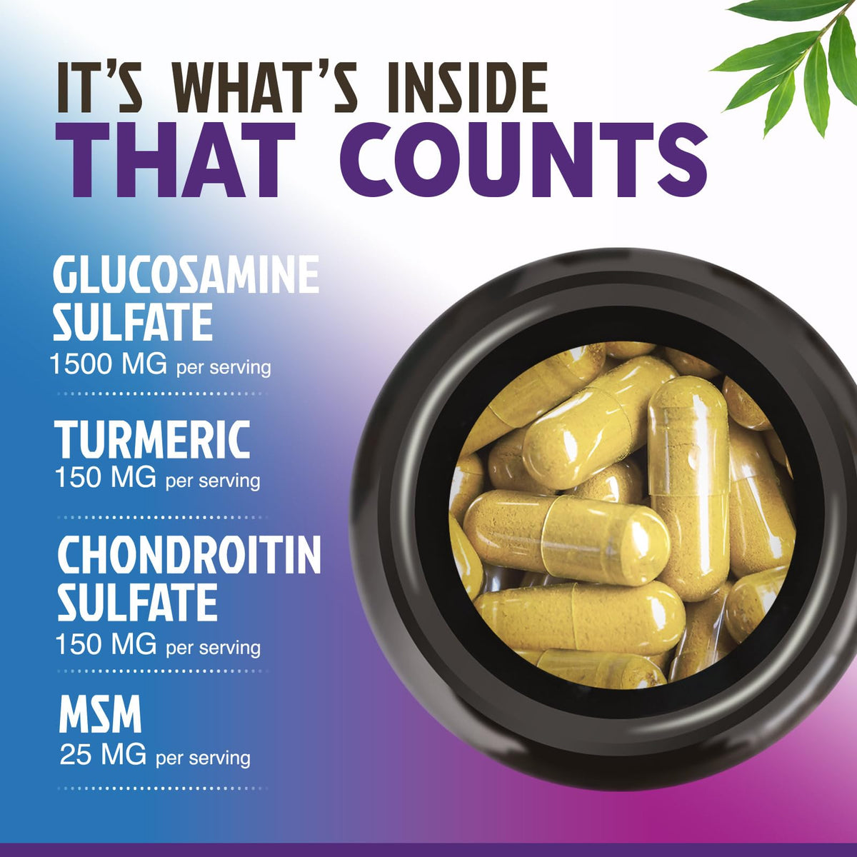 Glucosamine Chondroitin MSM Turmeric Boswellia 60 Capsules E163