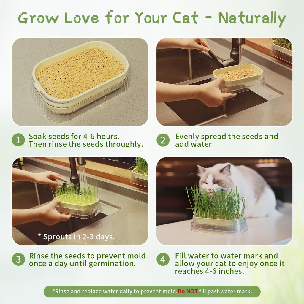 Hydroponic Cat Grass Grow Kit with 5Pack Non GMO Seeds N7495