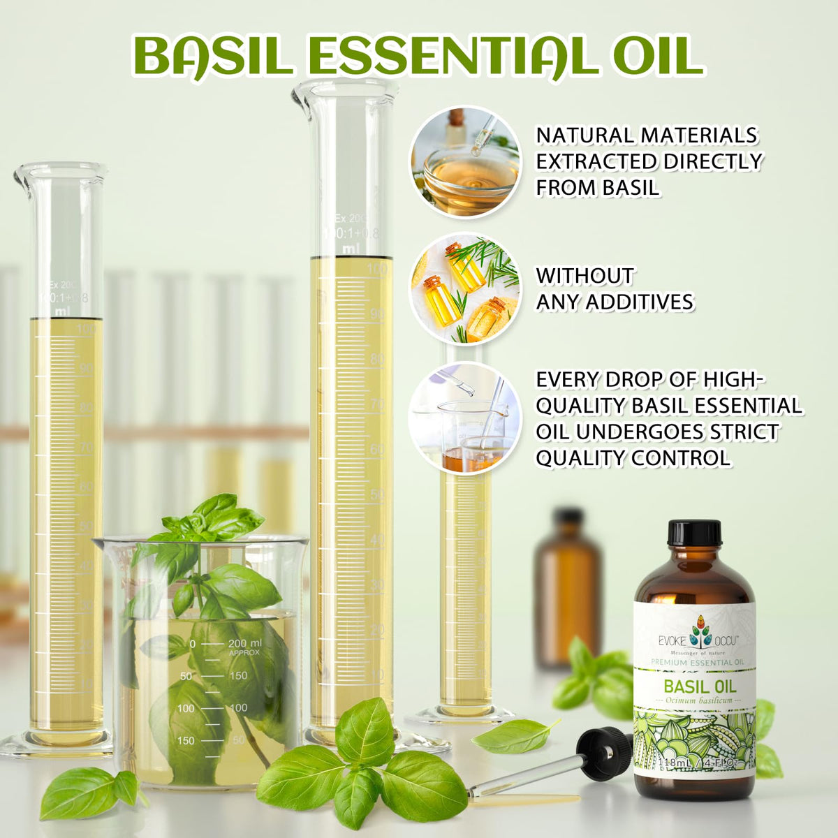 Basil and Lavender Essential Oil 4 Fl Oz R53649