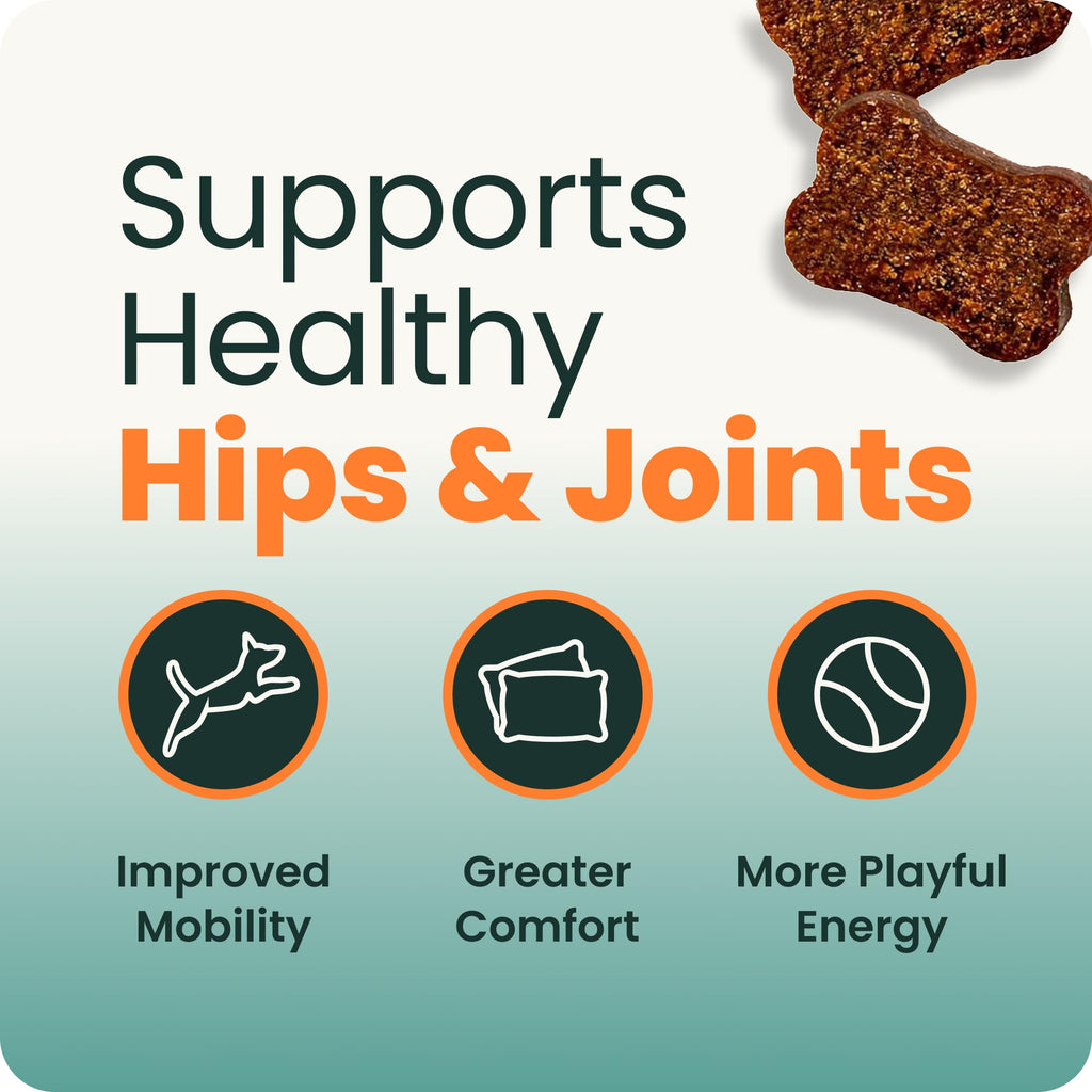 Healthy Hip & Joint for Dogs, Duck, 120ct W26659