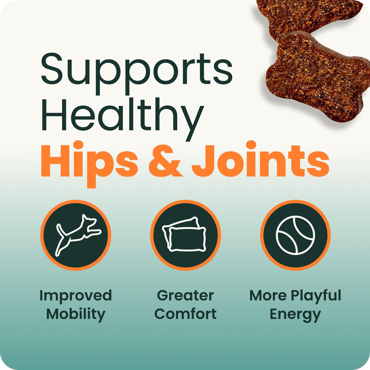 Healthy Hip & Joint for Dogs, Duck, 120ct W26659
