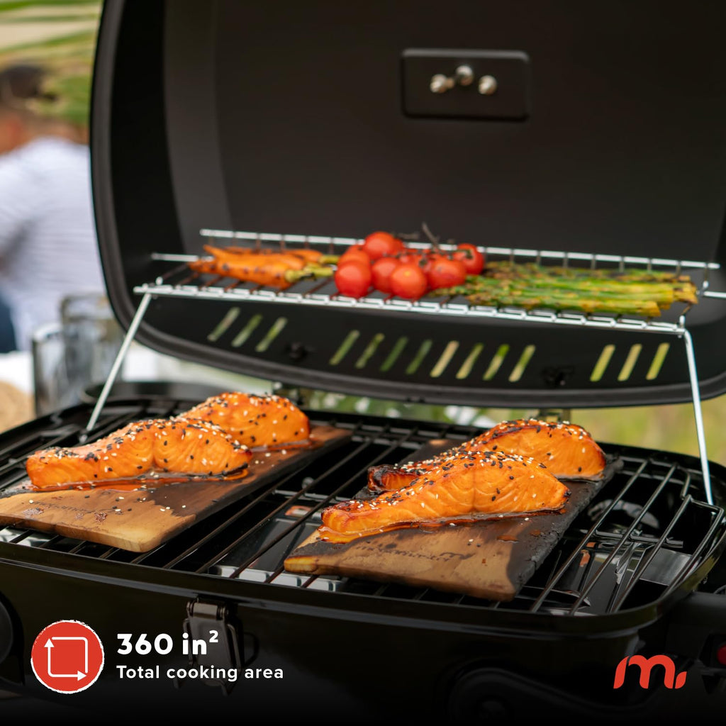 Tabletop 1 Burner Gas Grill with Warming Rack T304