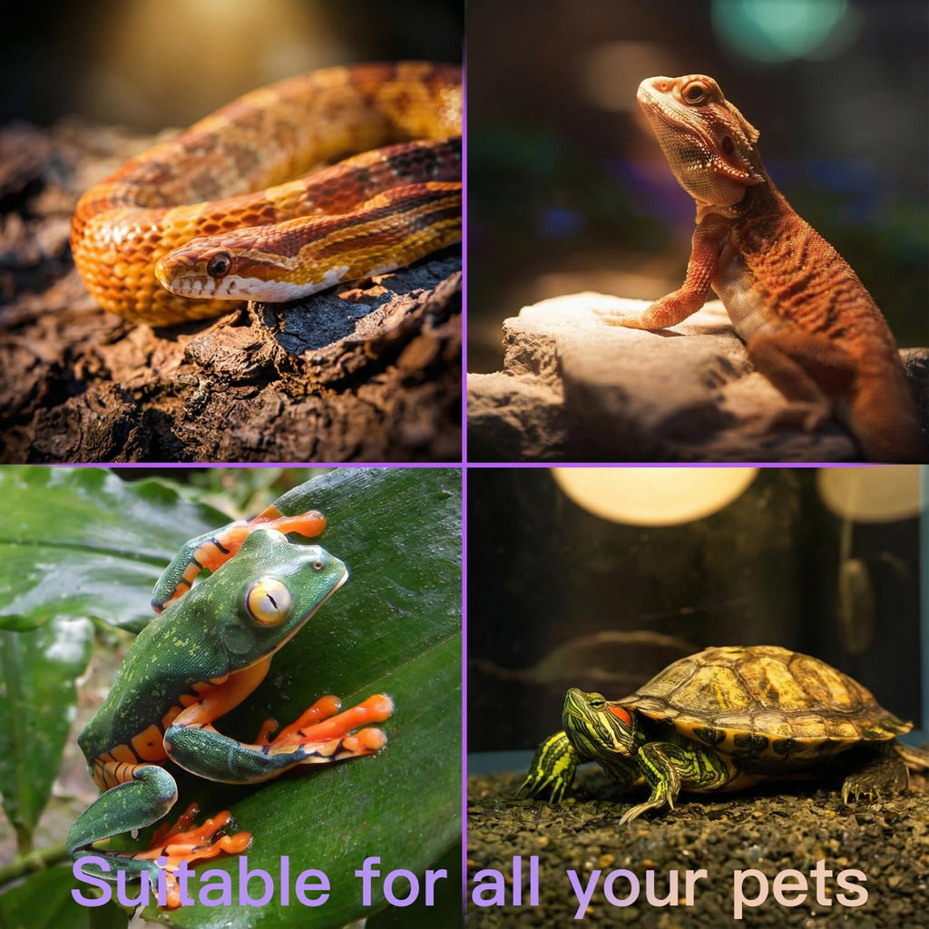 Reptile Heat Lamp Kit G1764