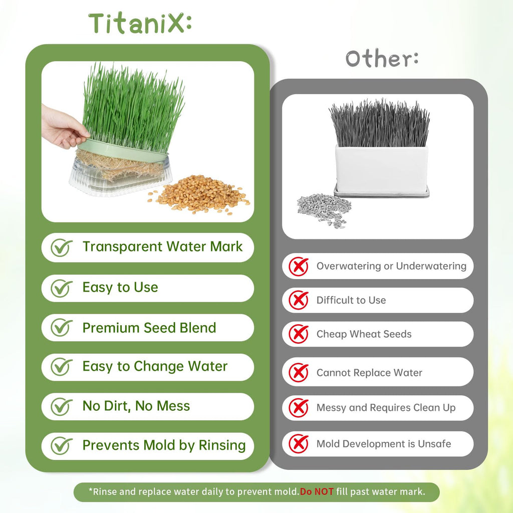 Hydroponic Cat Grass Grow Kit with 5Pack Non GMO Seeds N7495