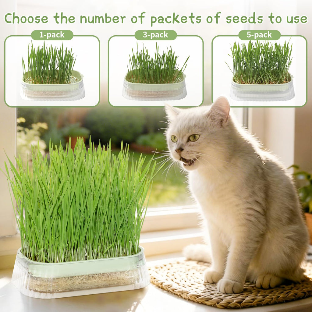 Hydroponic Cat Grass Grow Kit with 5Pack Non GMO Seeds N7495