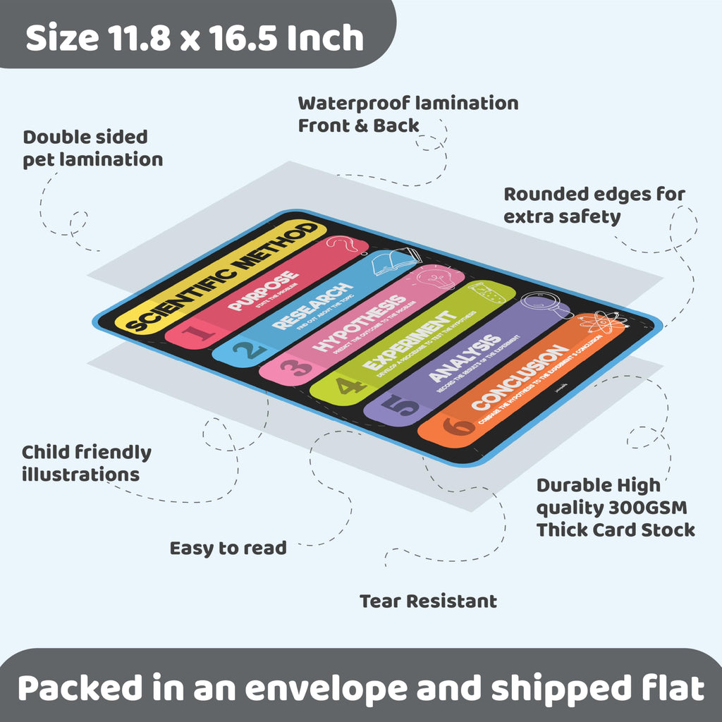 Science Posters for Kids Classroom Decor E32946