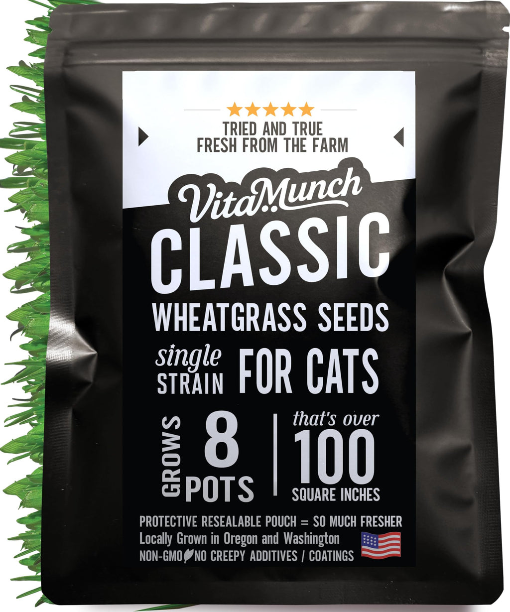 Cat Grass Seed Non-GMO Wheatgrass P61521