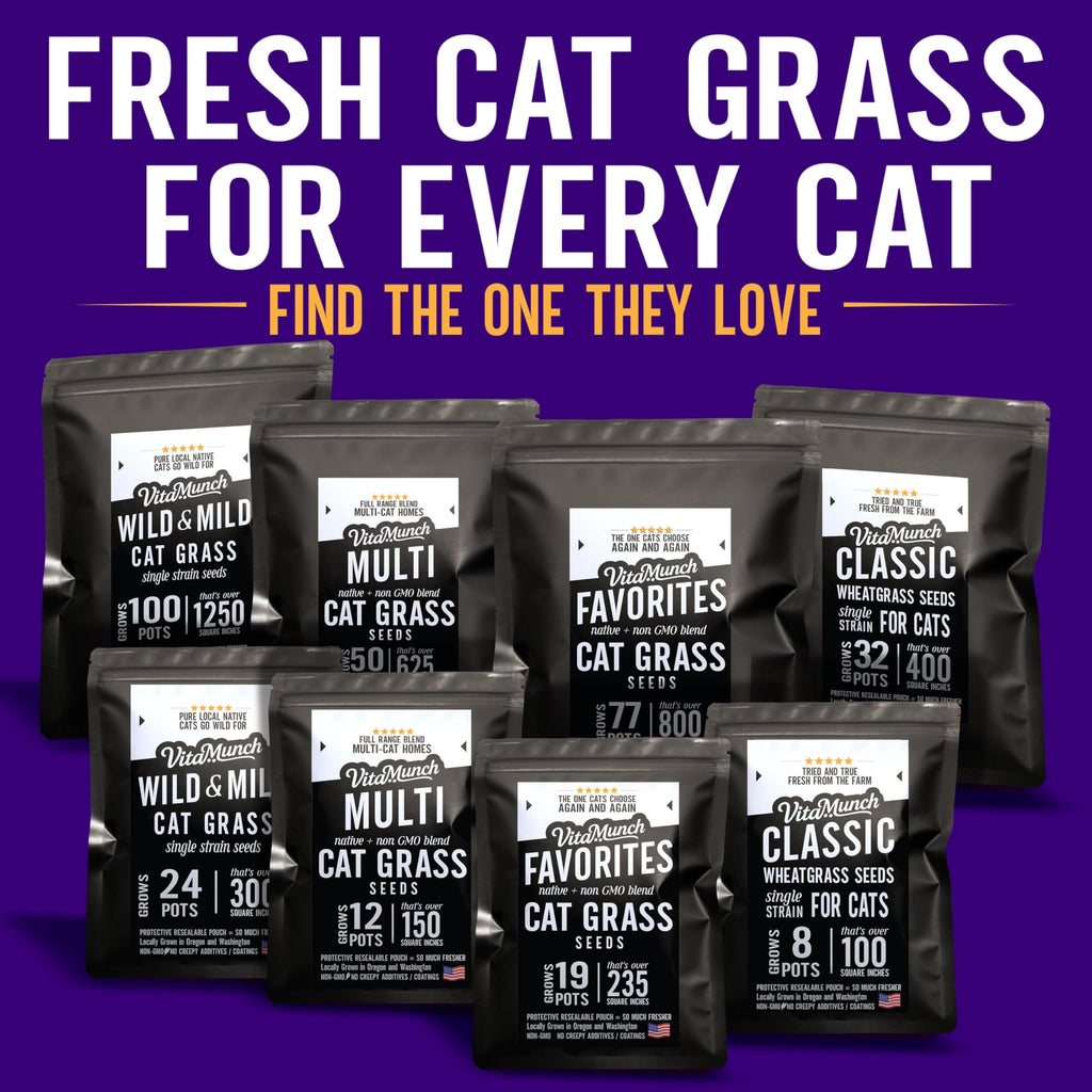 Cat Grass Seed Non-GMO Wheatgrass P61521