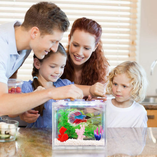 0.6 Gallon Betta Fish Tank Aquarium Kit with LED Lighting V6677