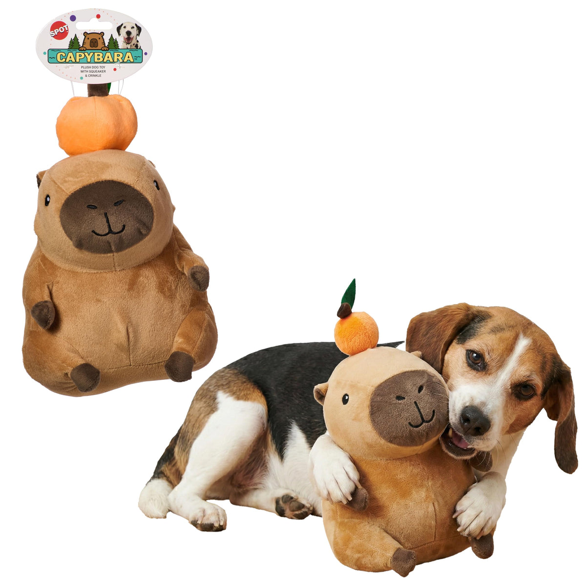 Soft Stuffed Squeaky Crinkle Capybara Dog Toy 8 Inch T7598