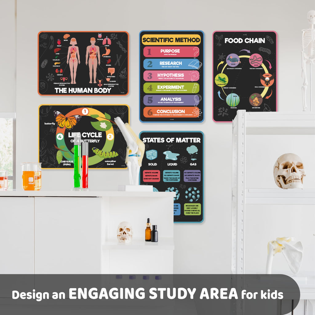 Science Posters for Kids Classroom Decor E32946