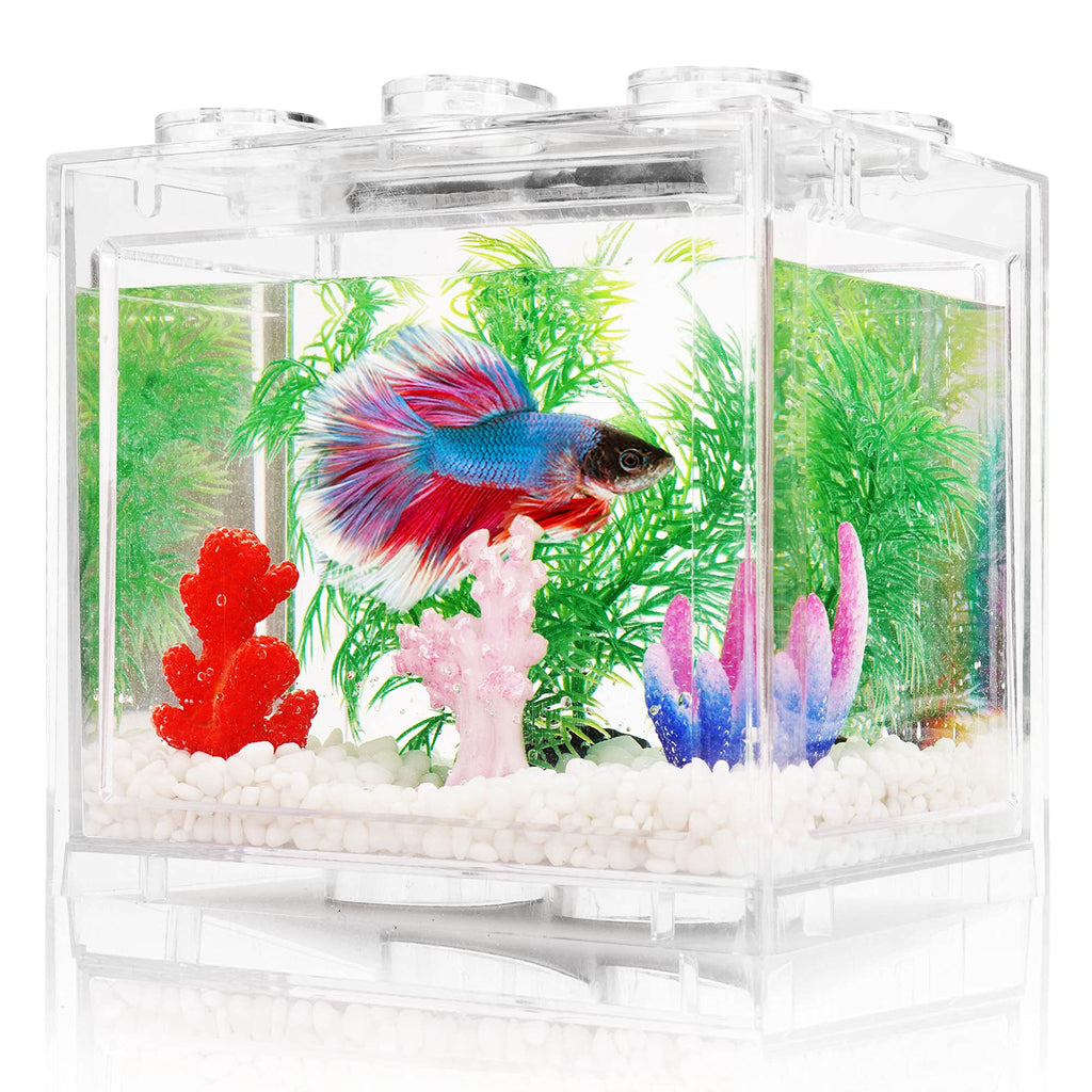 0.6 Gallon Betta Fish Tank Aquarium Kit with LED Lighting V6677