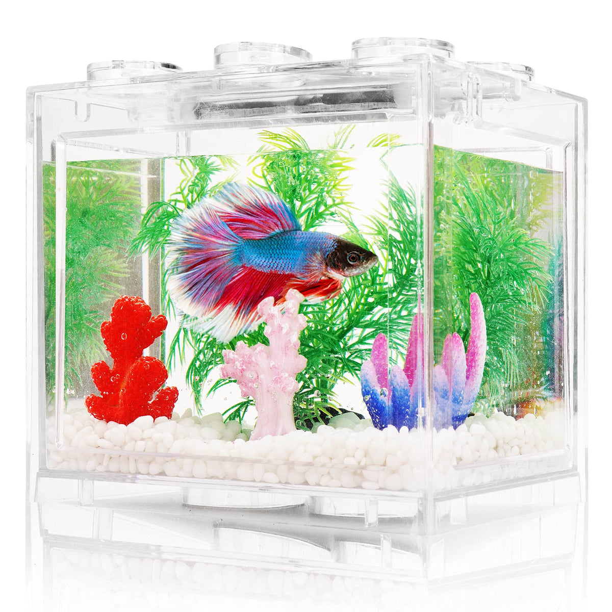 0.6 Gallon Betta Fish Tank Aquarium Kit with LED Lighting V6677