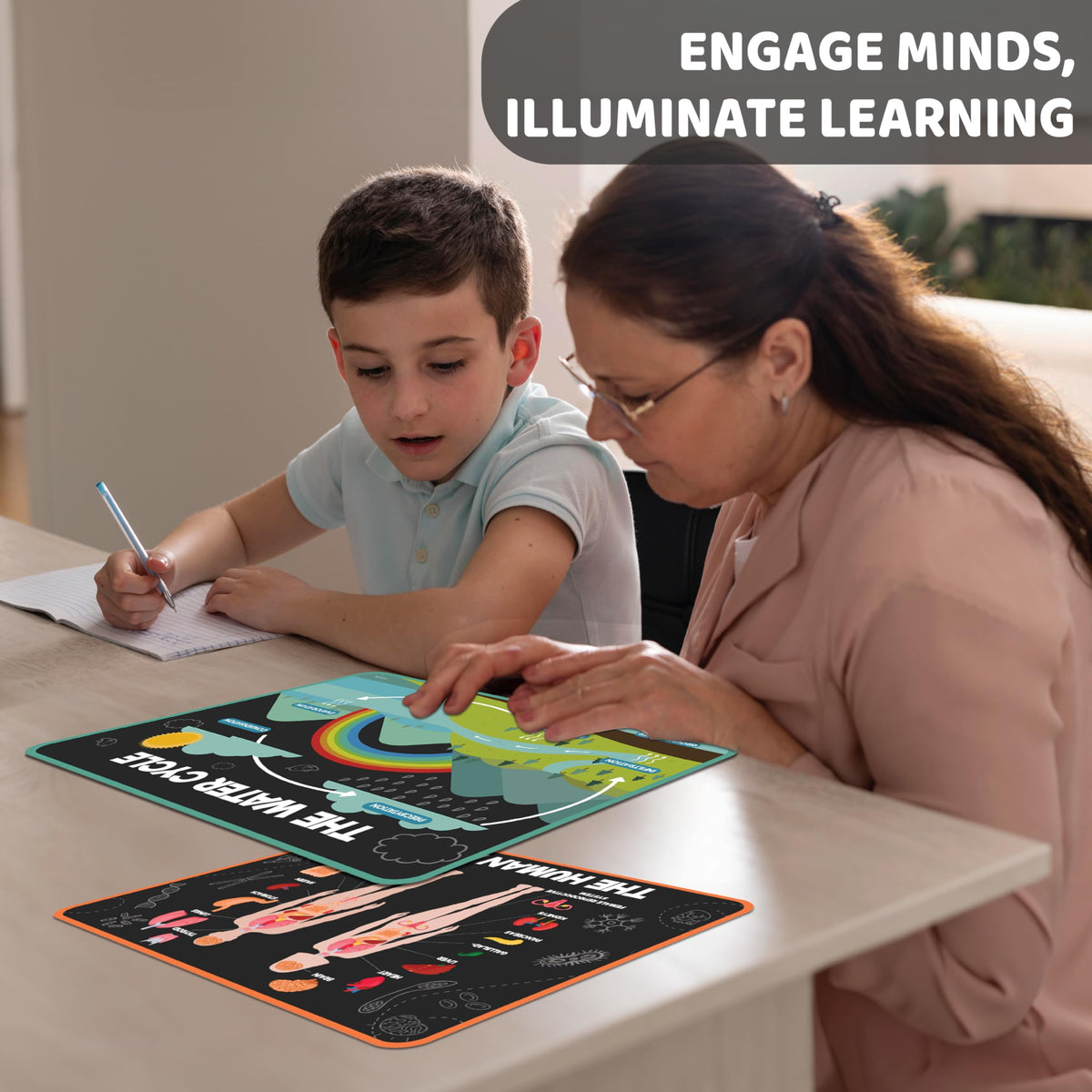 Science Posters for Kids Classroom Decor E32946