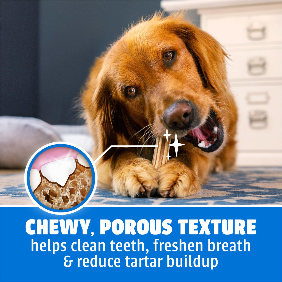 Daily Oral Care Dental Chews for Large Dogs 90 ct T6656
