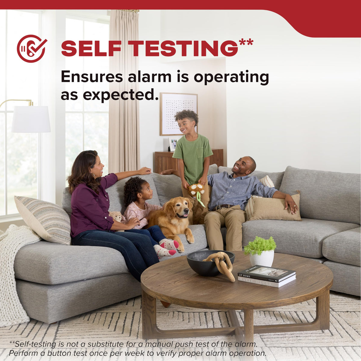 Smoke Detector, 10-Year Battery Powered, 85 dB Alarm, 1 Pack F816