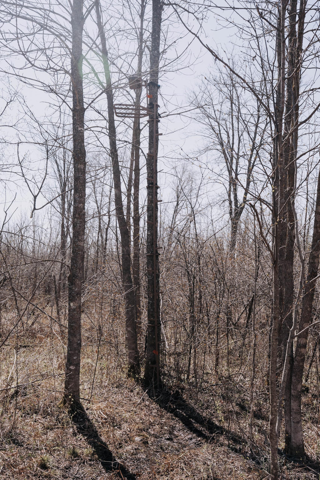 16 FT Steel Treestand Climbing Sticks S37904