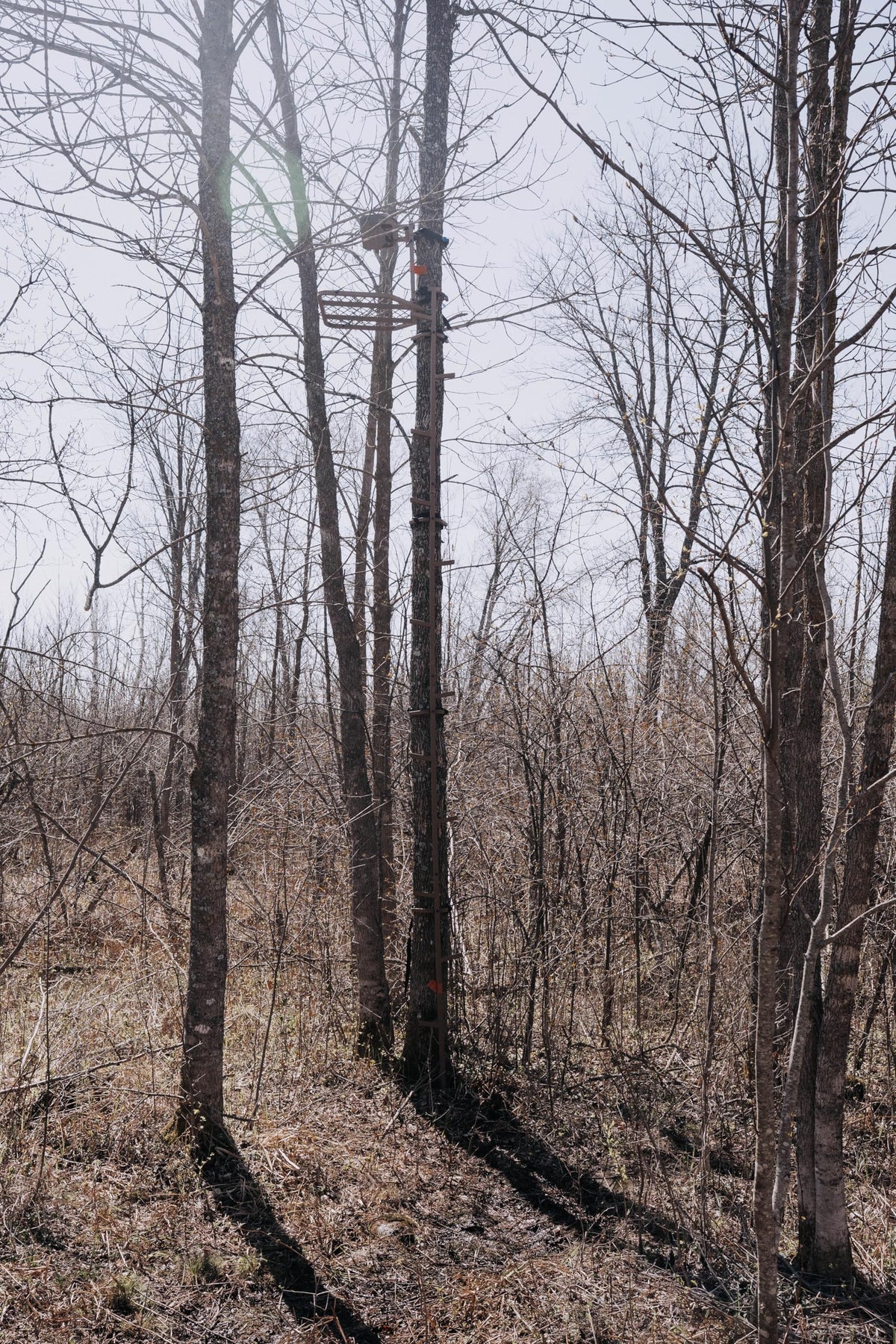 16 FT Steel Treestand Climbing Sticks S37904